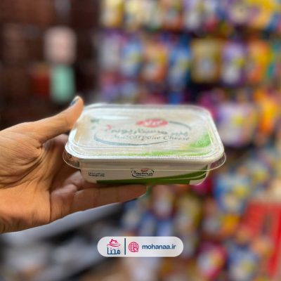 پنیر ماسکارپونه 200 گرمی